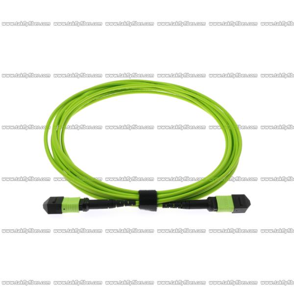 Multimode OM5 MPO Fiber Cable 12 Cores 3.0mm LSZH MPO Patch Cord