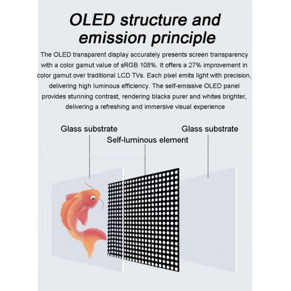 Floorstanding Transparent Glass OLED Screen Display Digital Signage Special Design Screen Factory