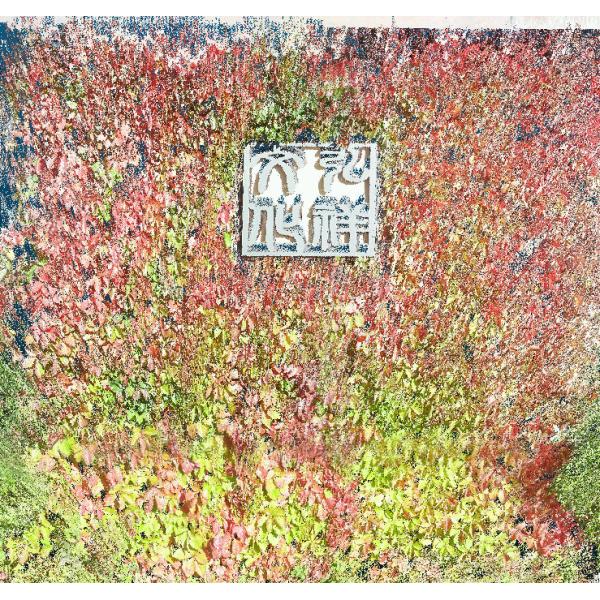 State 3D Laser Scanner Long Range 1000m EliteScan T1000 For Construction BIM