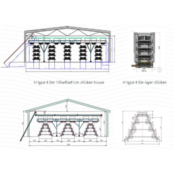 A Frame Commercial Poultry Equipment Poultry Shed Customized Size