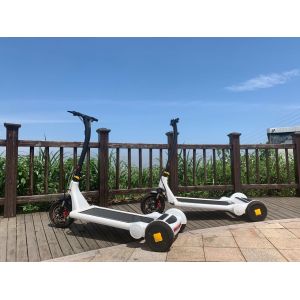 6h Charging 30kms Self Balancing Electric Scooter