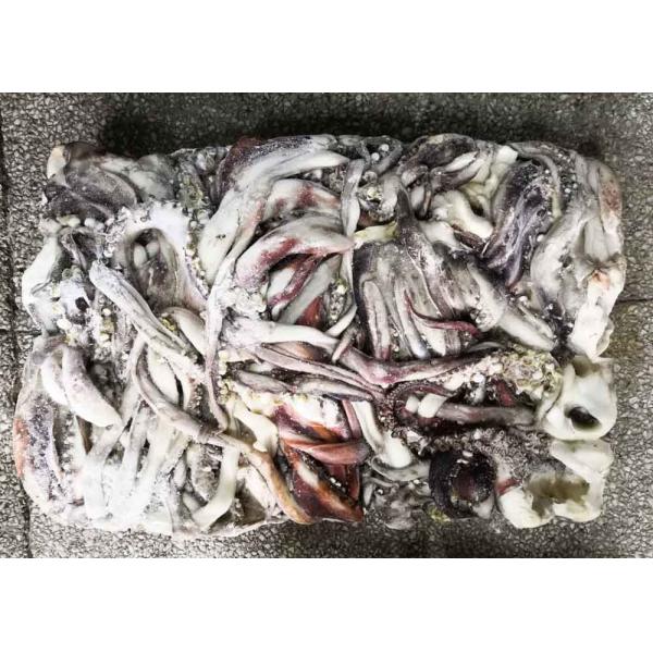 20 Kg Equator Squid Bqf Dosidicus Gigas Store Condition -18℃ Or Below