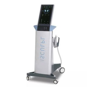 China Touch Screen 13 Tesla Body Sculpting Machine , EM Sculpting Equipment on sale