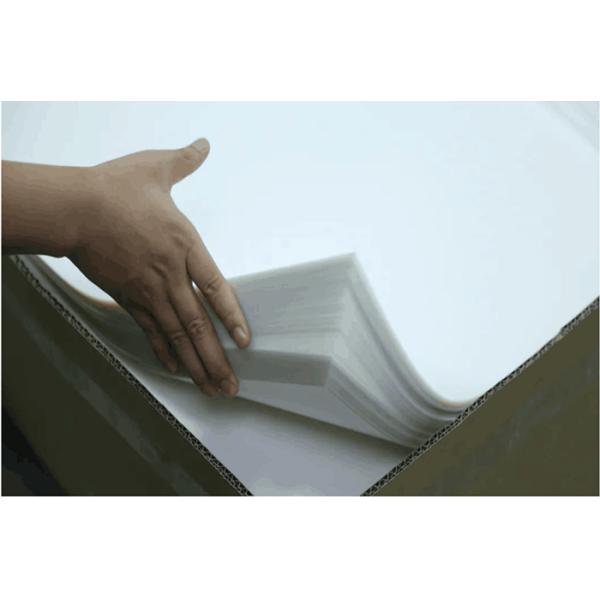 DTF Printer Heat Transfer Vinyl Film Cold Peel PET Transfer Film