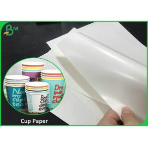 China 230 Gsm + 15gsm PE Coated Waterproof White Kraft Paper For Paper Cup And Plates wholesale