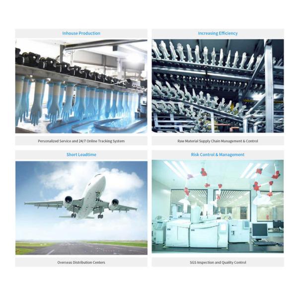 Blue Nitrile Glove 8