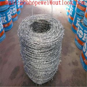 China barbed wire production/barbed wire cost per roll/how much does barbed wire cost/model barbed wire/bar wire wholesale