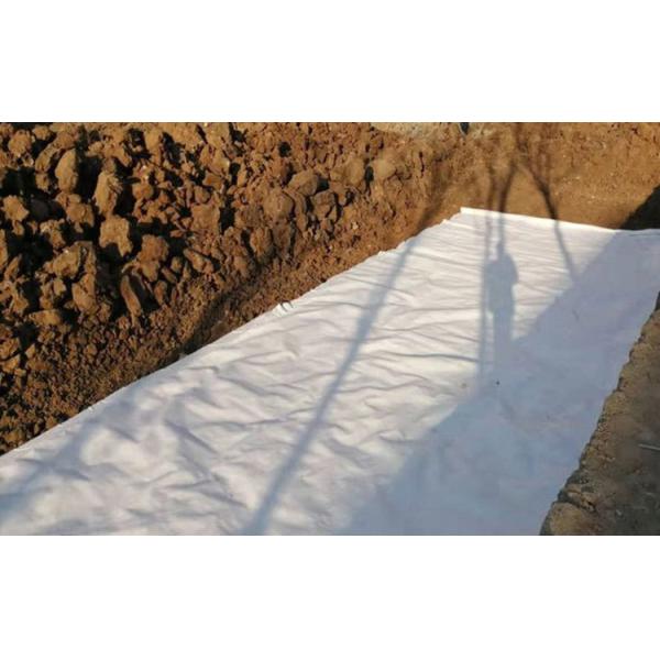 Anti Seepage HDPE Geomembrane Composited Membrane Agricultural Geomembranas For Fish Farming