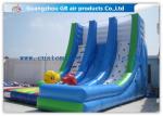 OEM Island Theme Inflatable Water Slides For Teenagers In Graden / Park /