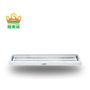 Explosion Proof Linear Light Fluorescent Light 3ft 5ft Embedded