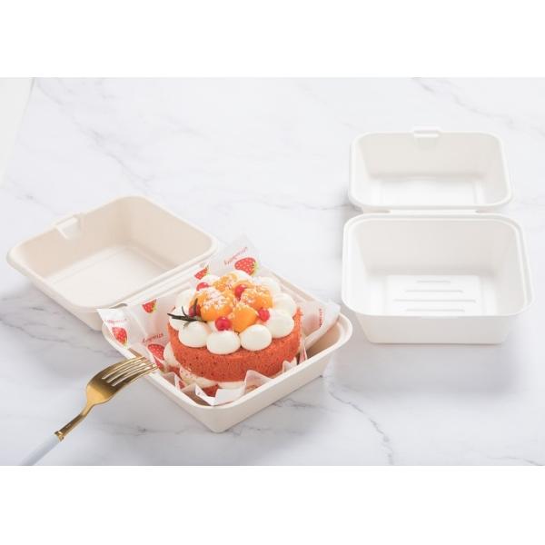 Disposable Biodegradable Burger Box Machine Making Full Automatic