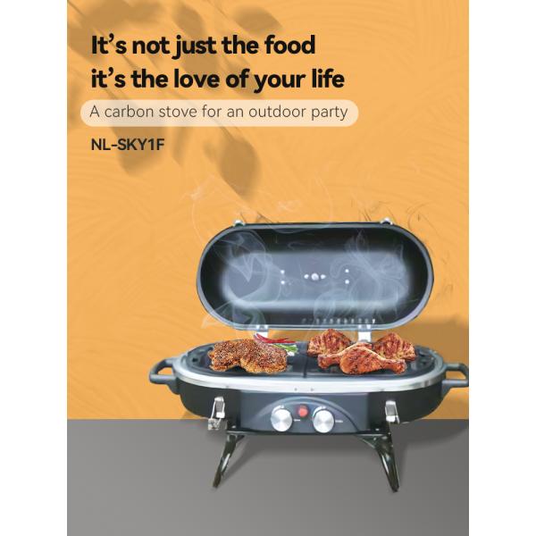 Easily Assembled 2 Burner Propane BBQ Gas Grill with Rotisserie Natural Gas Type