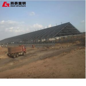 Steel Structure Prefab Agricultural Buildings Intelligent with Large Span Space