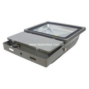 100w High Power LED projecting lamp led flood lighting