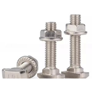 China Stainless Steel  SS304 316 Bolts T Head Bolt/T Type Bolt with Customized Thread Pitch on sale