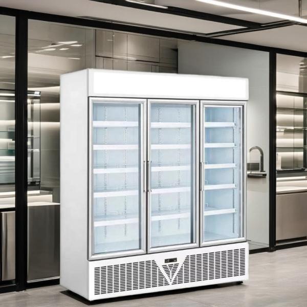 China Factory 1530L Glass Door Display Fridge Supermarket Refrigerator Energy Drinks Energy Efficient Warehousing Supplements