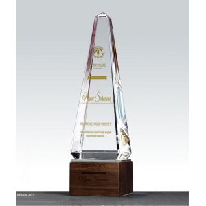 Individualized Custom Resin Trophies Crystal And Solid Wood Combination Trophy