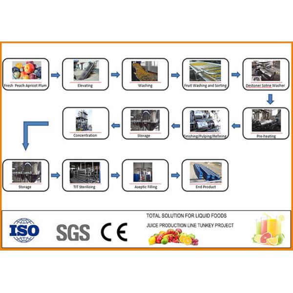 CFM-B-035T/H Fruit Juice Production Line turnkey Peach Apricot And Plum
