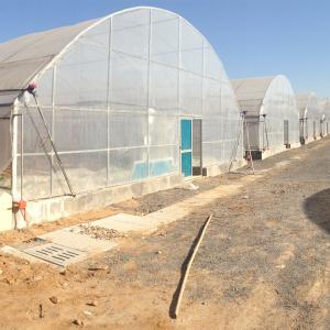 China Easy To Install Agricultural Greenhouses for Growing Flowers Vegetables and Fruits wholesale