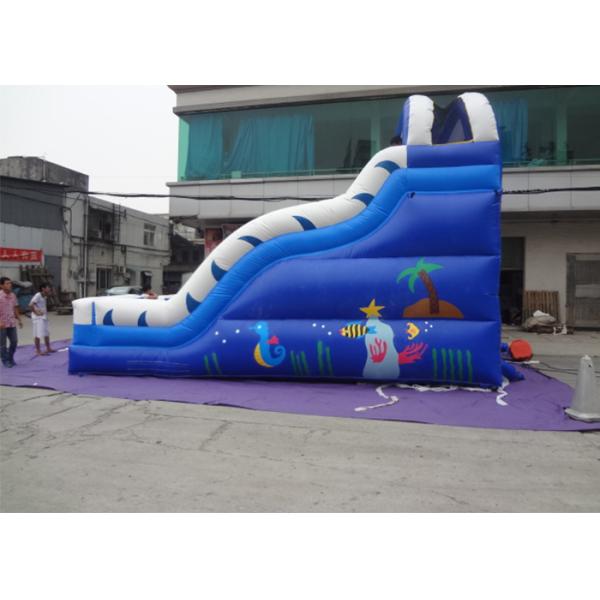 0.55mm PVC Blue Adults And Kids Playground Commercia Giant Inflatable Water Slide For Party