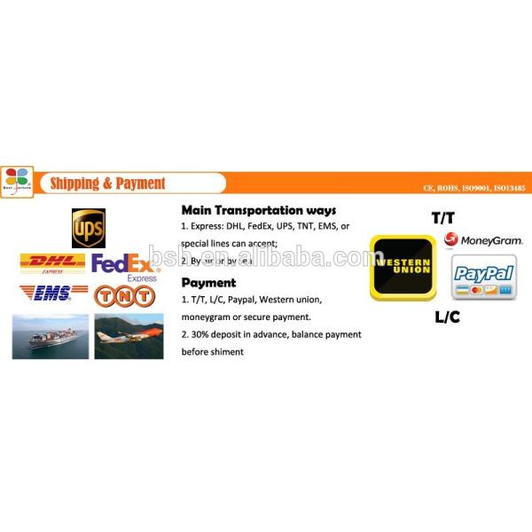 RF1312 EMS Fitness Machine , Rf Skin Tightening Device 4 Hours Charging Time