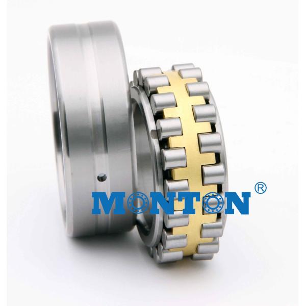 N1006 30*55*13 Single Row Cylindrical Roller Bearings Machine Tool High Precision Spindle Bearings