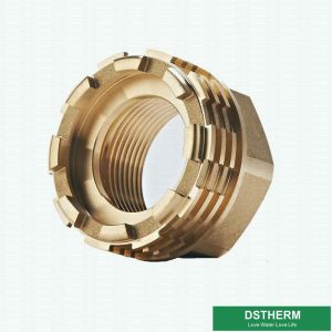 Precise Designs Female Brass Inserts Customized Designs For Ppr Fittings Italy Designs