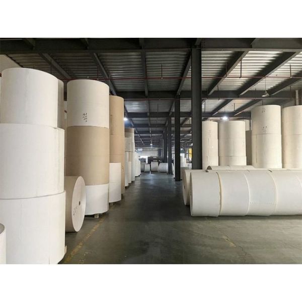Flexographyic Printing Single Double PE PLA Coated White Craft Paper Cup Fan Raw Material