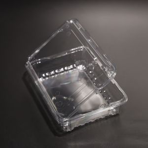 Clear PET Plastic Food Storage Containers with Lids