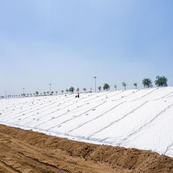 100-800g/M2 Nonwoven Polyester Geotextile Soil Filter Fabrics for Road Construction