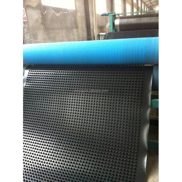 8mm-20mm Thickness Greenroof Dimple Mat Drainage Board with PE Material 2m Length