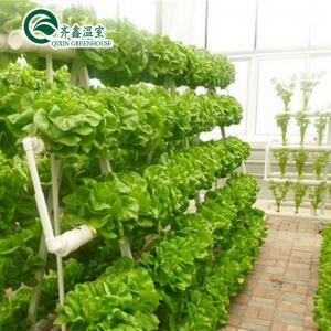 China Tomatoes Vertical Hydroponic System for Multi-Span Greenhouse Sales in Netherlands wholesale
