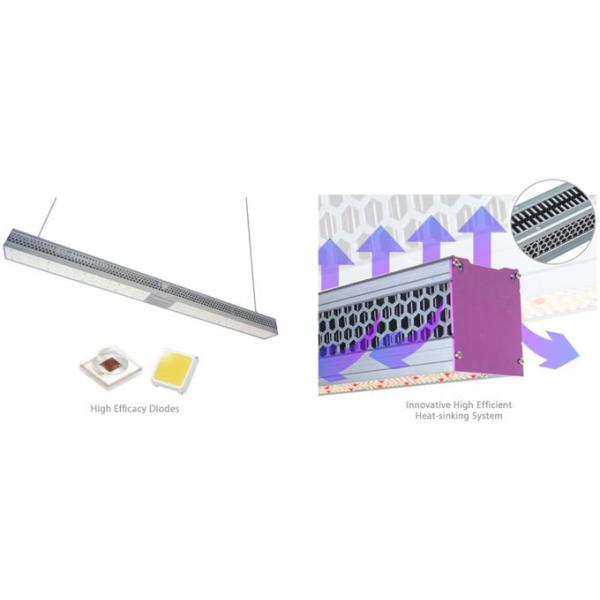 Greenhouse LED Grow Lights Efficient And Powerful Ip65 Commercial Indoor Plant Led Grow 0