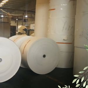 170gsm To 280gsm PE Coating Paper Cup Raw Material Customized