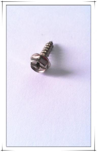 Quality SWRCH-22A Hexagon slotted head special self- tapping screw for sale