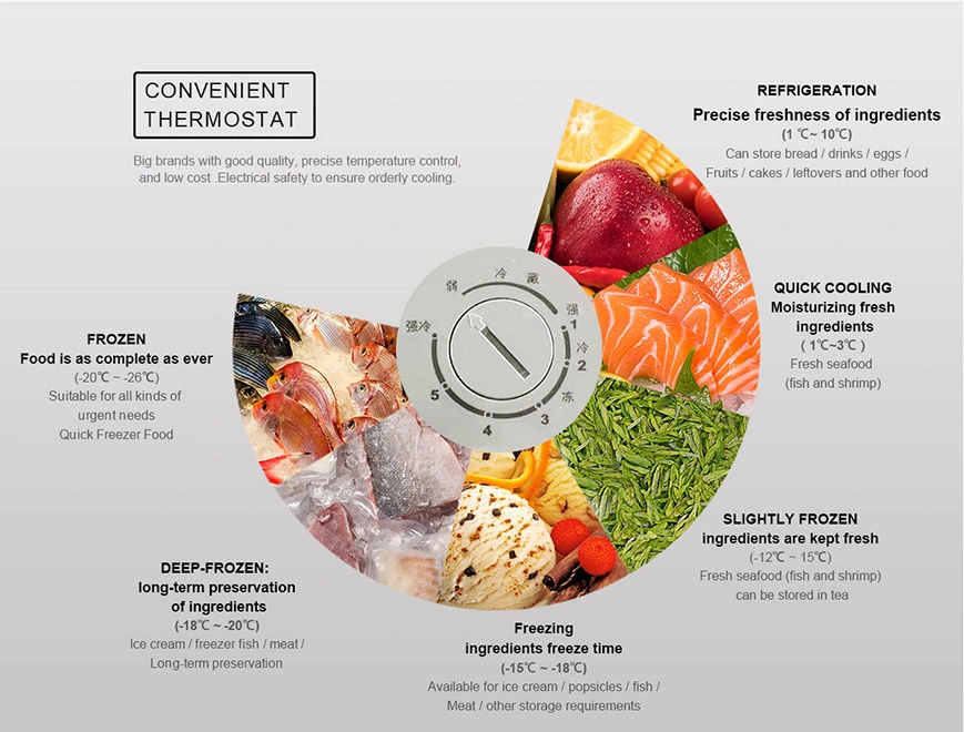 300L Manual Defrost Single Door Deep Chest Freezer With Recessed Door Handle