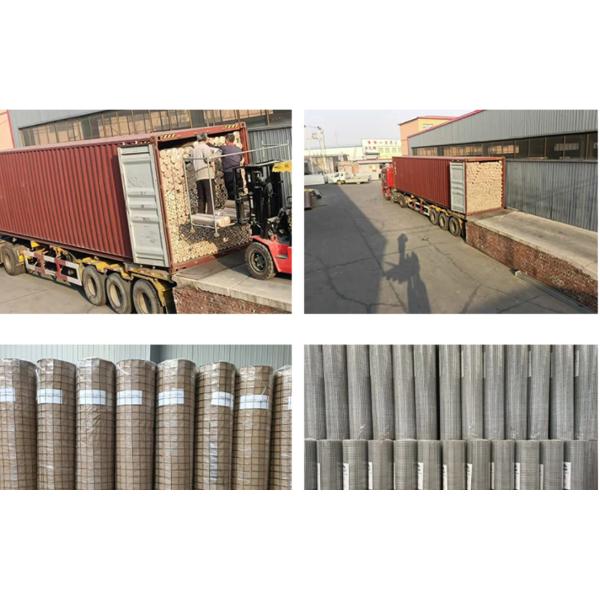 Large stock Welded Wire Mesh Galvanized anti-rust Electro Galvanized Mesh