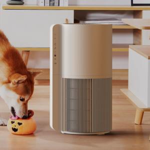 China Covid Hepa Filter Room Air Purifier For Pet Dander Fresh Healthier Environment wholesale