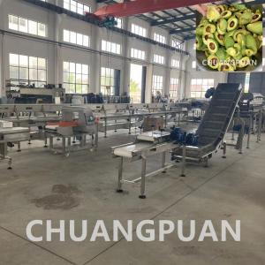 China 304 stainless steel Customized Avocado Jam Oil Extraction And Making Machine wholesale