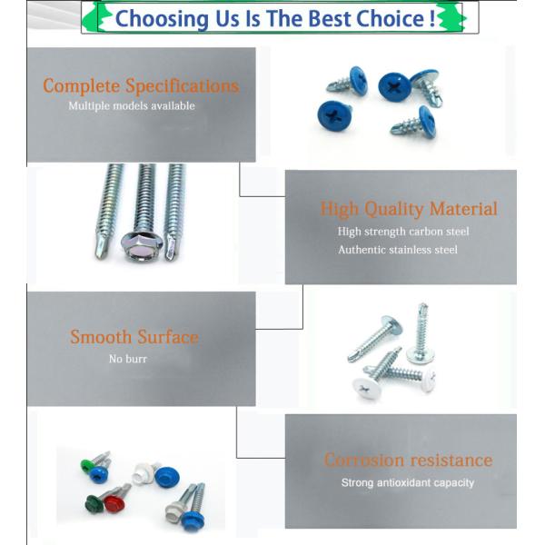 Inspected Self-Drilling Screws in SS304/Carbon Steel/Brass for Fine Metal Inspection