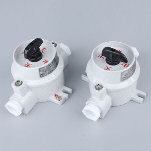 China ATEX IECEx Certified SW-10 Explosion Proof Switch 10A 220V/380V in Stock wholesale
