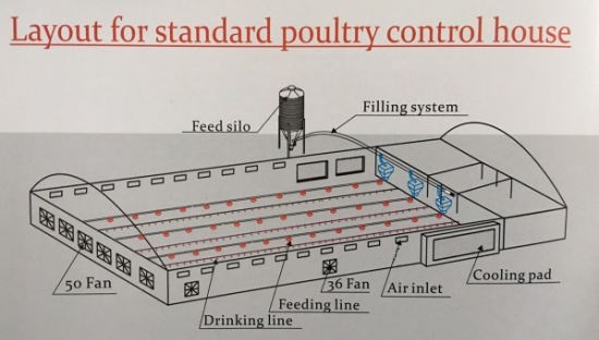 1.5L 3L Plastic Automatic Water Feeder For Chickens