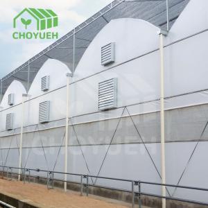China Double Layer PE Film Multi Span Film Greenhouse With Hydroponic System wholesale