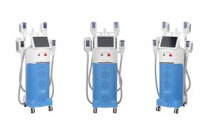 China Cryolipolysis Beauty Salons Fastest Way To Lose Weight Body Fat Removal slimming wholesale