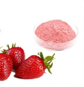 China fruit extracts, Wholesale bulk 100% natural health strawberry powder extract wholesale