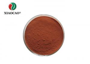 China Fine Bulk Organic Cinnamon Powder Health Product Field Blood Pressure Reduction wholesale
