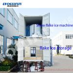 30 Ton/Day Containerized Ice Flake Machine with Snow Making System and 125W