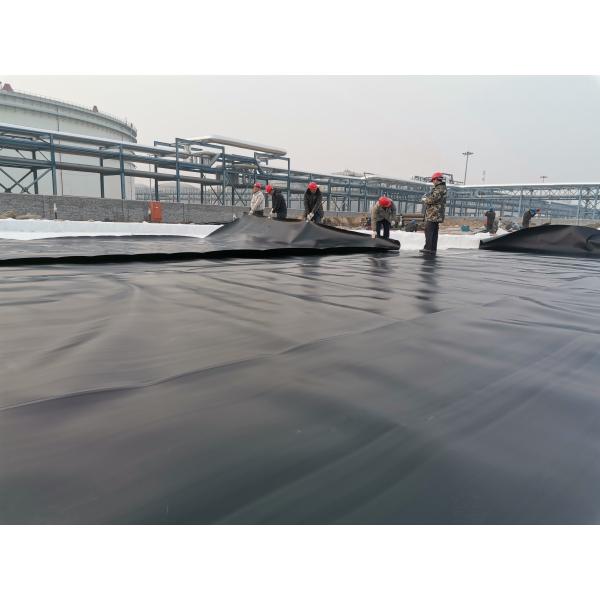 HDPE Geomembrane Artificial Pool Fish Pond Lake Tank Liner for Onsite Training Service