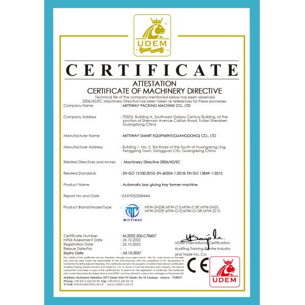 Custom Food Frozen Fish Packing Machine Powerful Bag Inserter