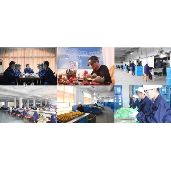 45 Gram Hamburger Dog Vinyl Pet Toys For Dog Training / Playing / Chewing